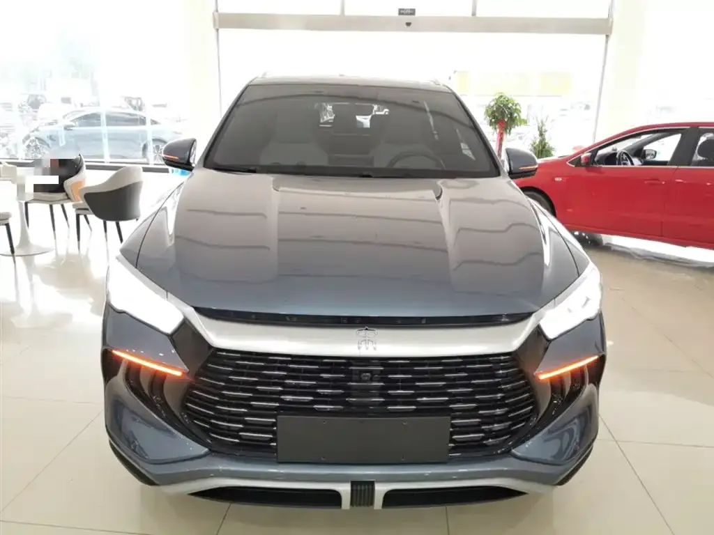 BYD Pro New Energy — фото 3