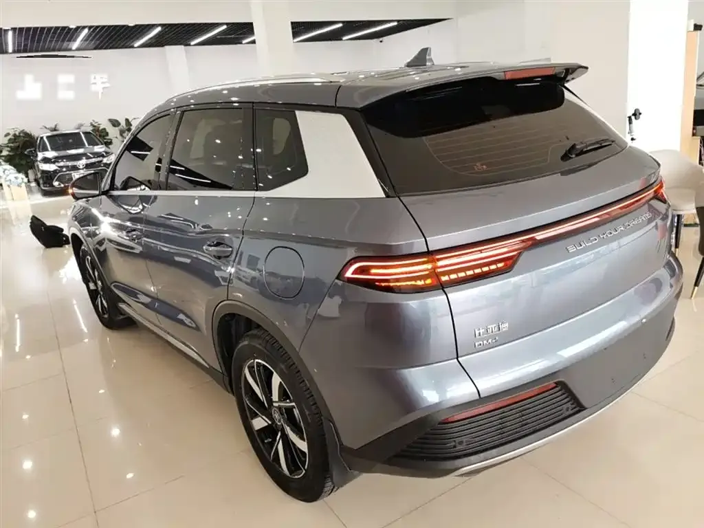 BYD Pro New Energy — фото 5