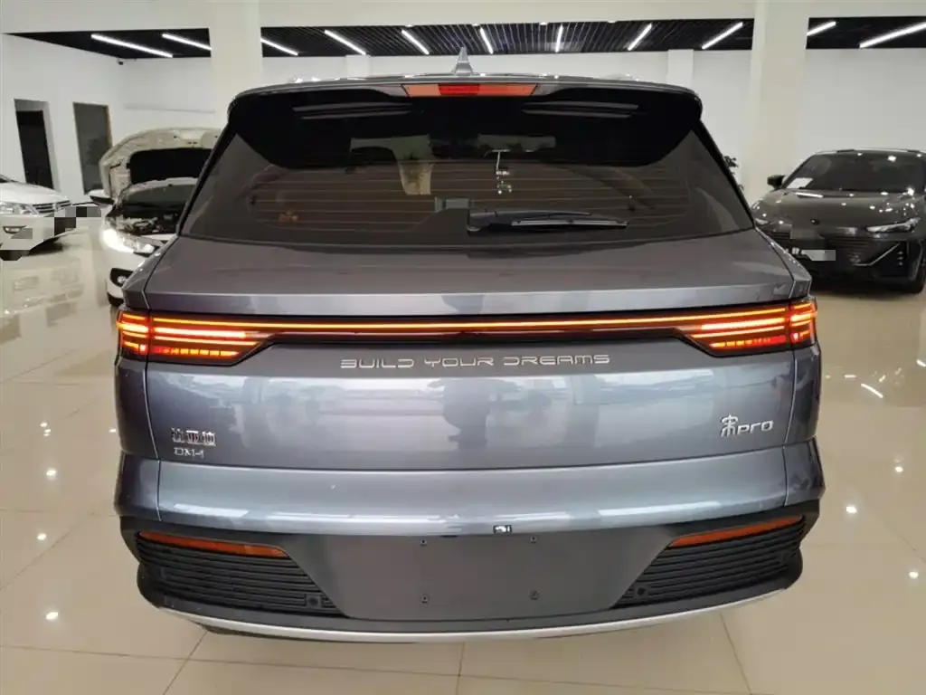 BYD Pro New Energy — фото 6