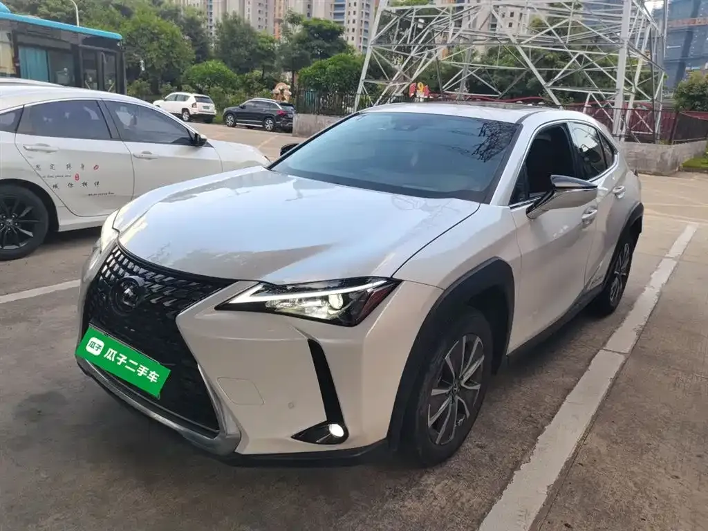 Lexus UX New Energy — фото 1