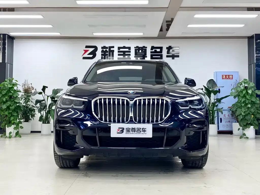 BMW X5 (Import) — фото 2