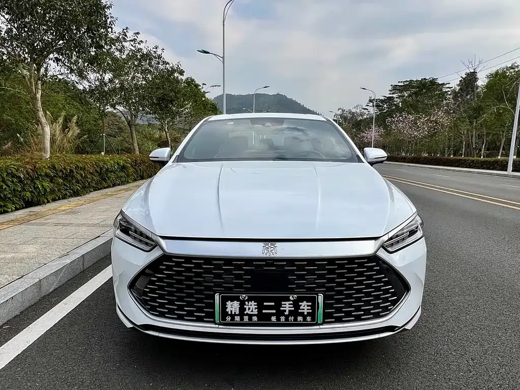 BYD Qin PLUS — фото 1