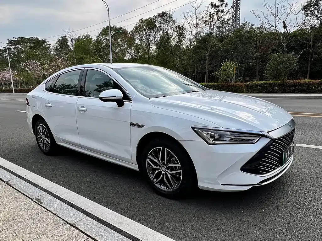 BYD Qin PLUS — фото 2