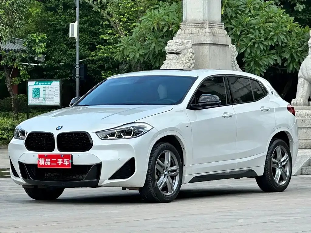 BMW X2 — фото 1