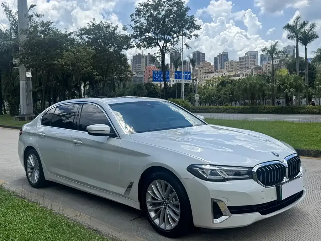 BMW 5 Series New Energy — фото 3
