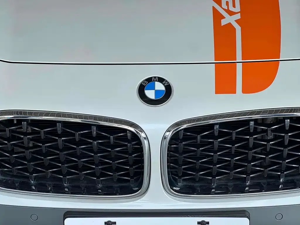 BMW X2 — фото 6