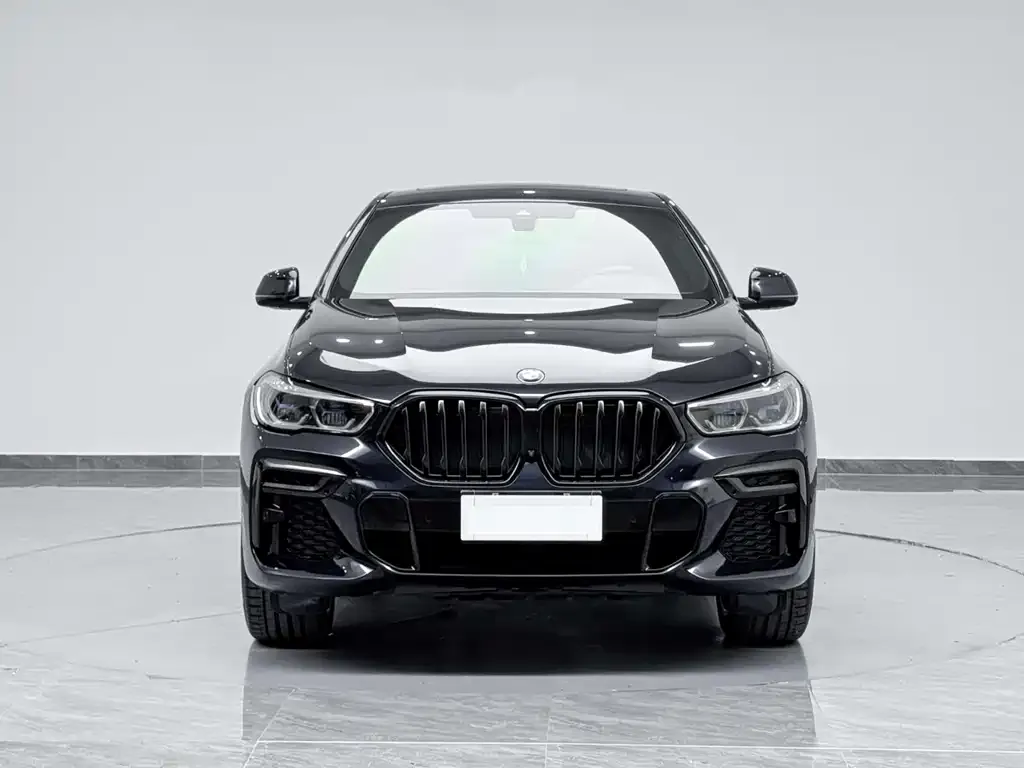 BMW X6 — фото 10