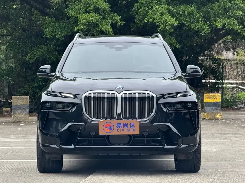 BMW X7 — фото 1