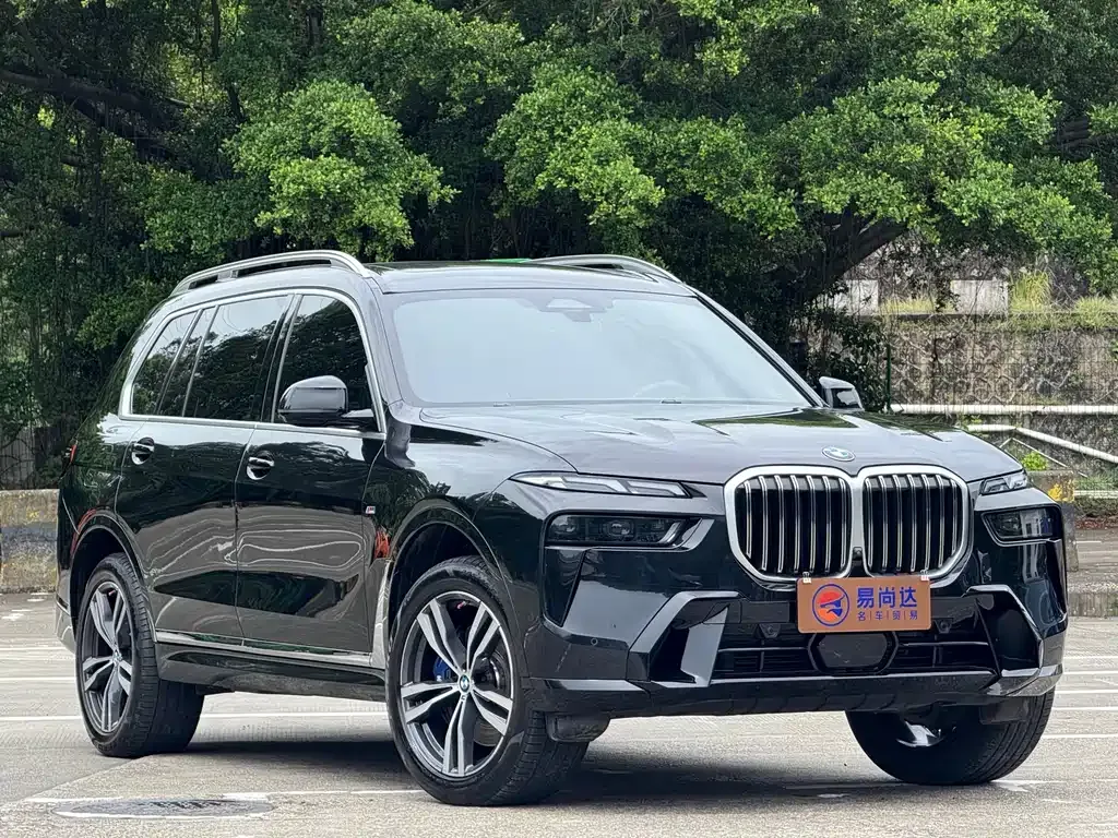 BMW X7 — фото 3