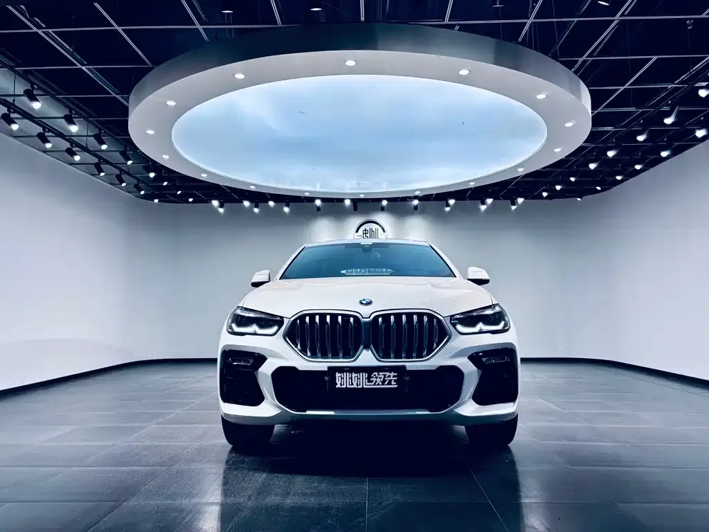 BMW X6 — фото 2