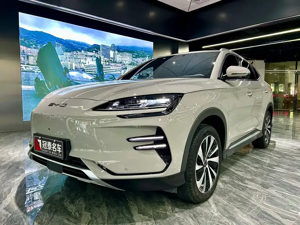 BYD PLUS New Energy — фото 1