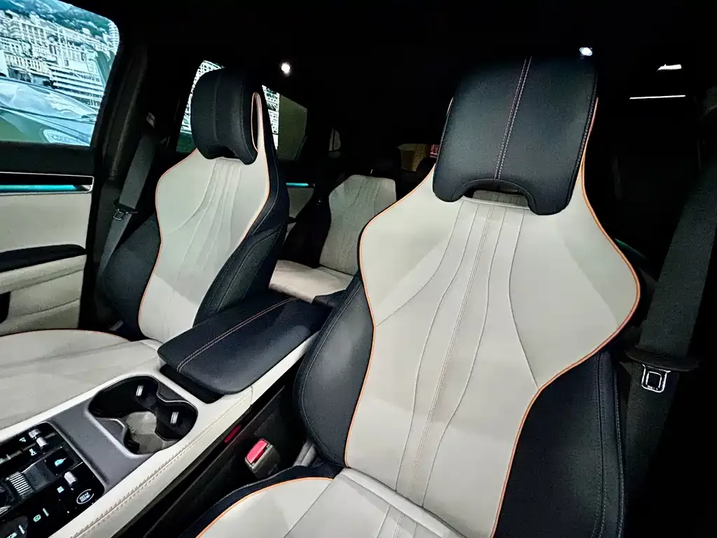 BYD PLUS New Energy — фото 10