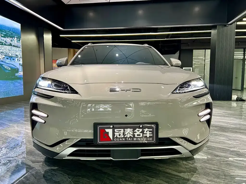BYD PLUS New Energy — фото 2