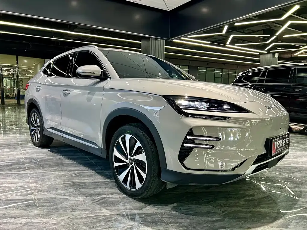 BYD PLUS New Energy — фото 3