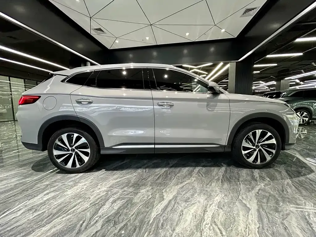BYD PLUS New Energy — фото 4