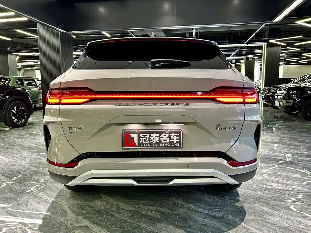 BYD PLUS New Energy — фото 6