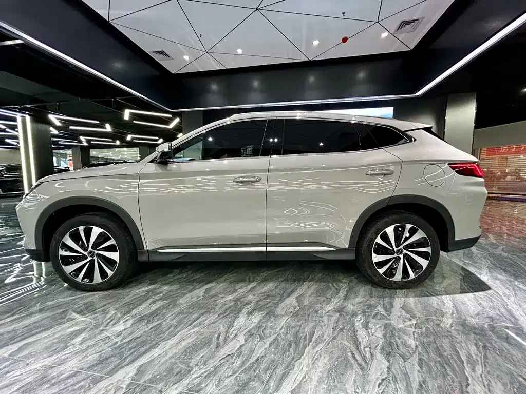 BYD PLUS New Energy — фото 8