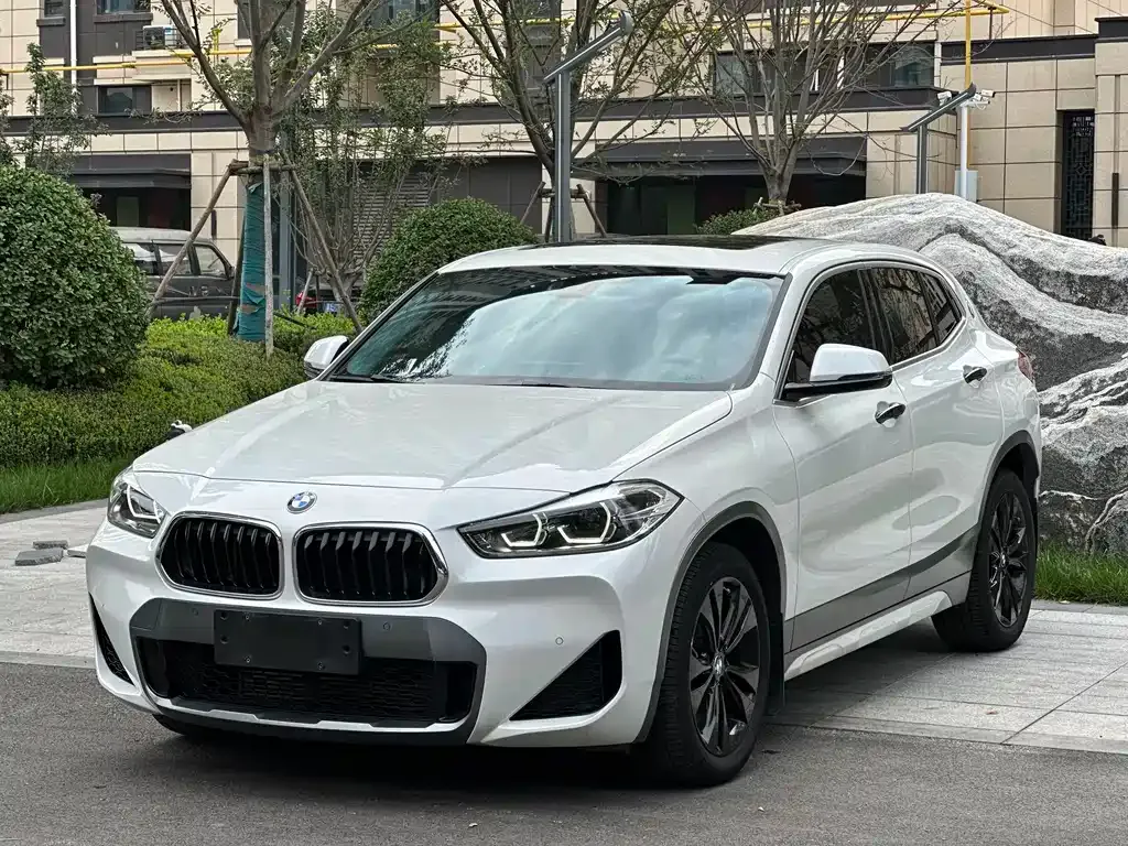 BMW X2 — фото 1