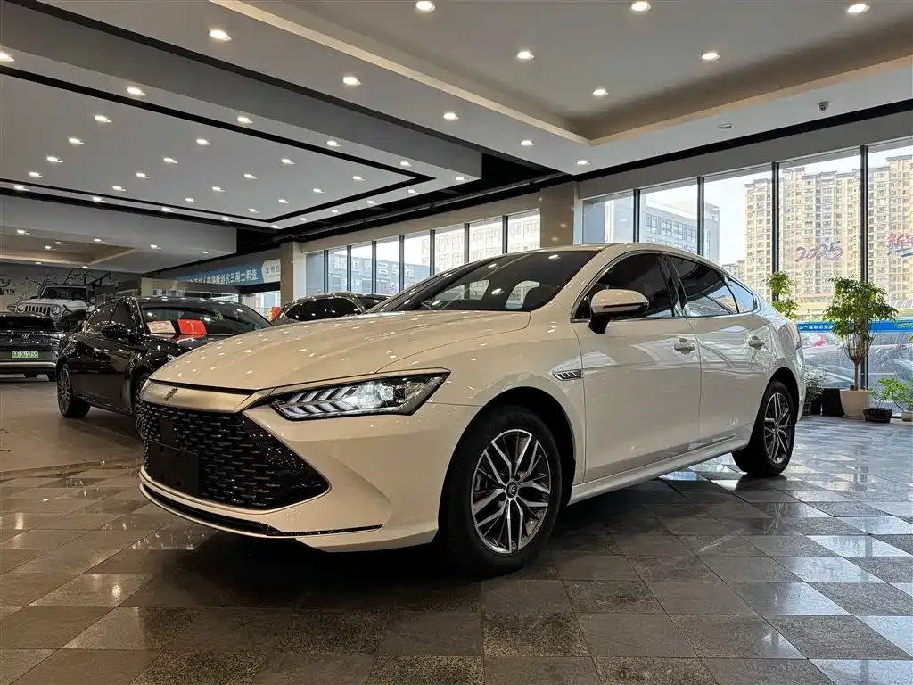 BYD Qin PLUS — фото 1