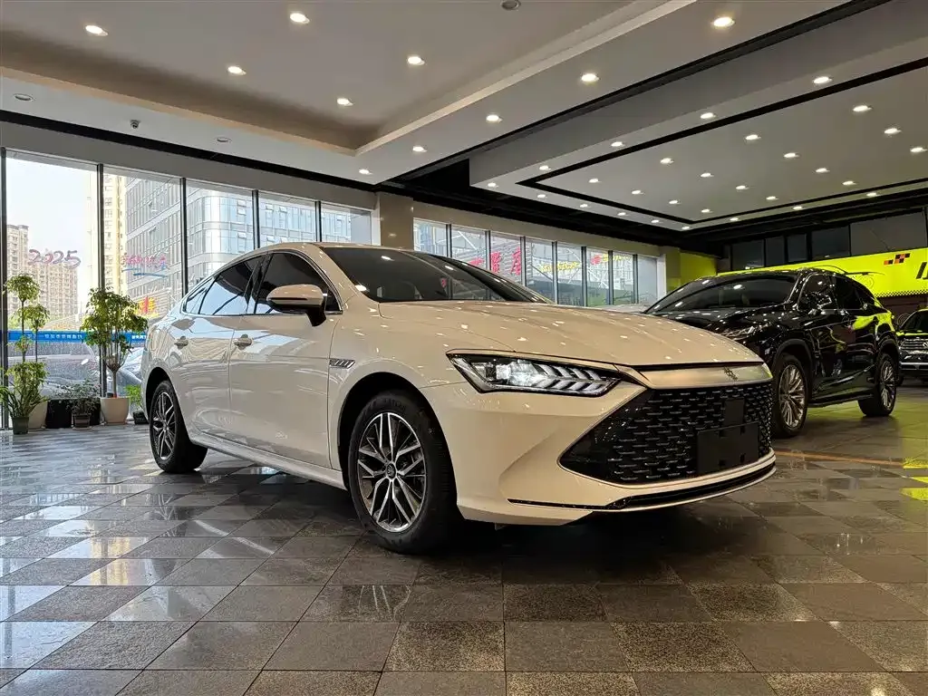 BYD Qin PLUS — фото 3