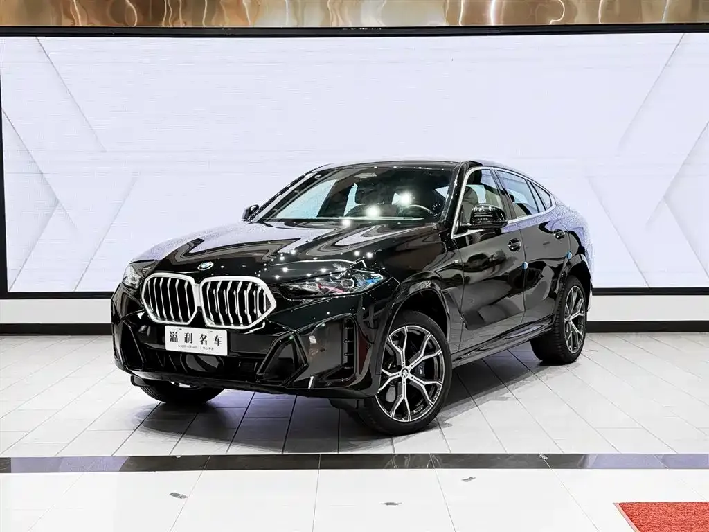 BMW X6 — фото 4