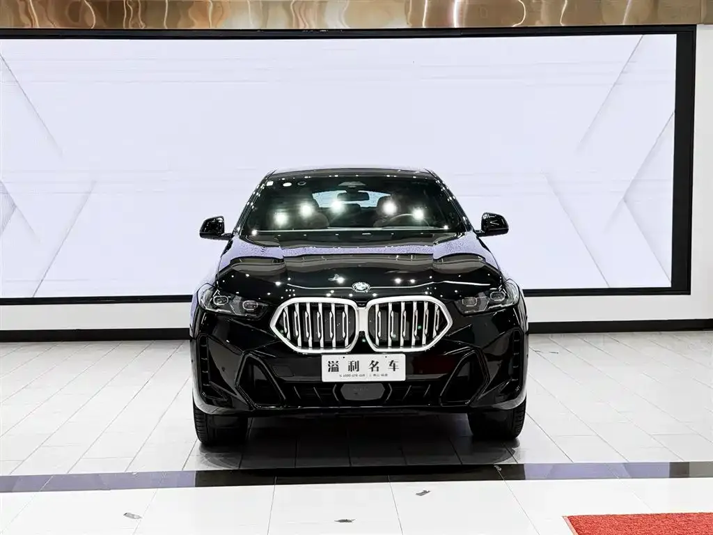 BMW X6 — фото 5