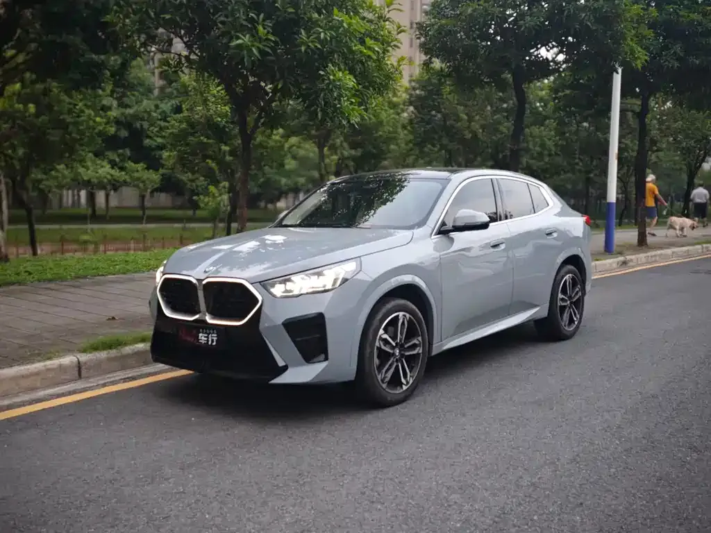 BMW X2 (Import) — фото 1