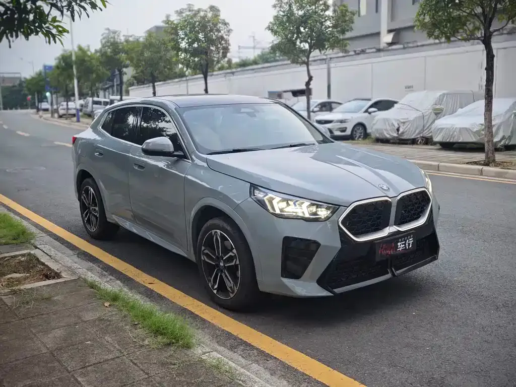 BMW X2 (Import) — фото 2