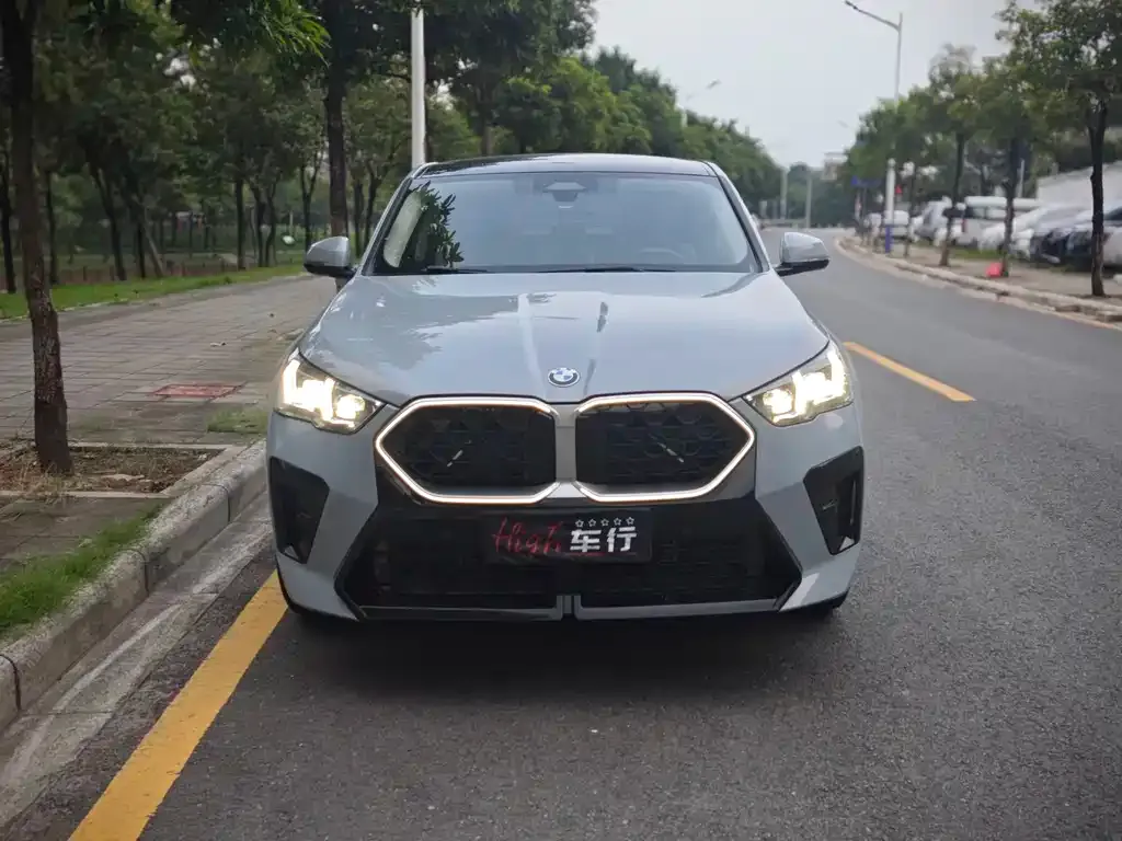 BMW X2 (Import) — фото 3