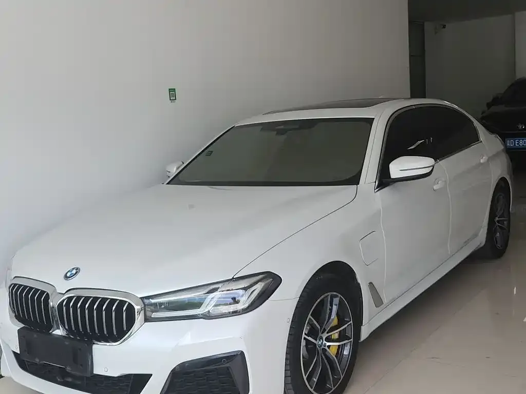 BMW 5 Series New Energy — фото 1