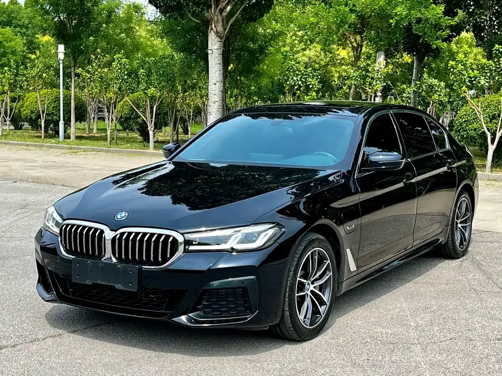 BMW 5 Series New Energy — фото 1