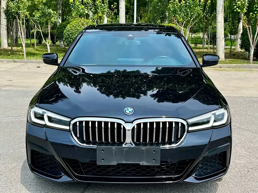 BMW 5 Series New Energy — фото 2