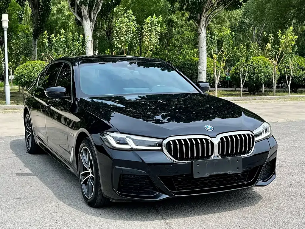 BMW 5 Series New Energy — фото 3