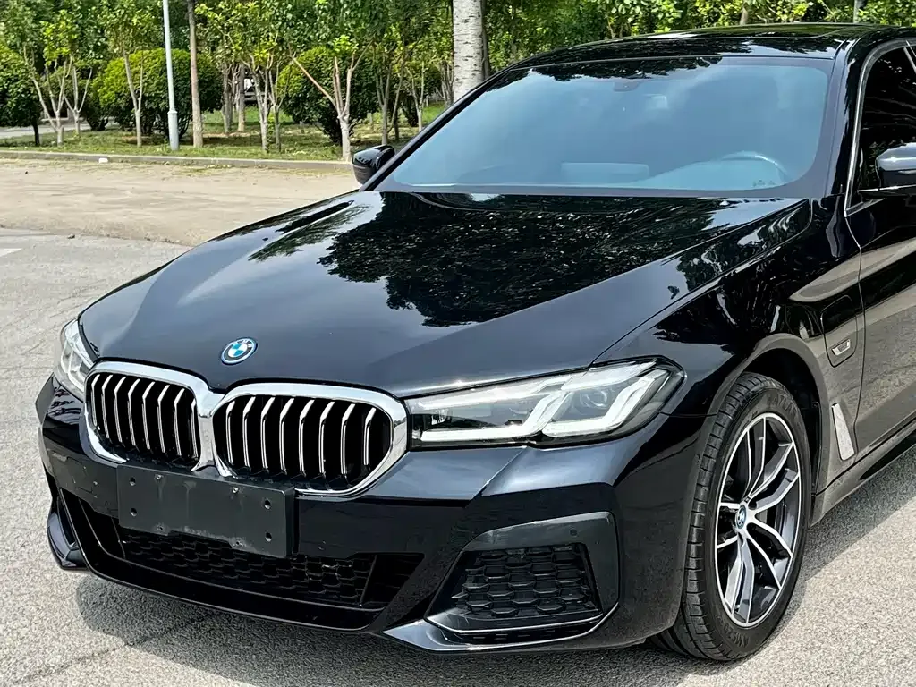 BMW 5 Series New Energy — фото 4