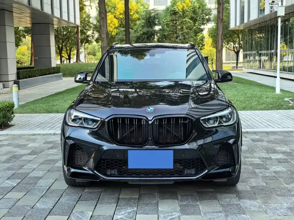 BMW X5 M — фото 2
