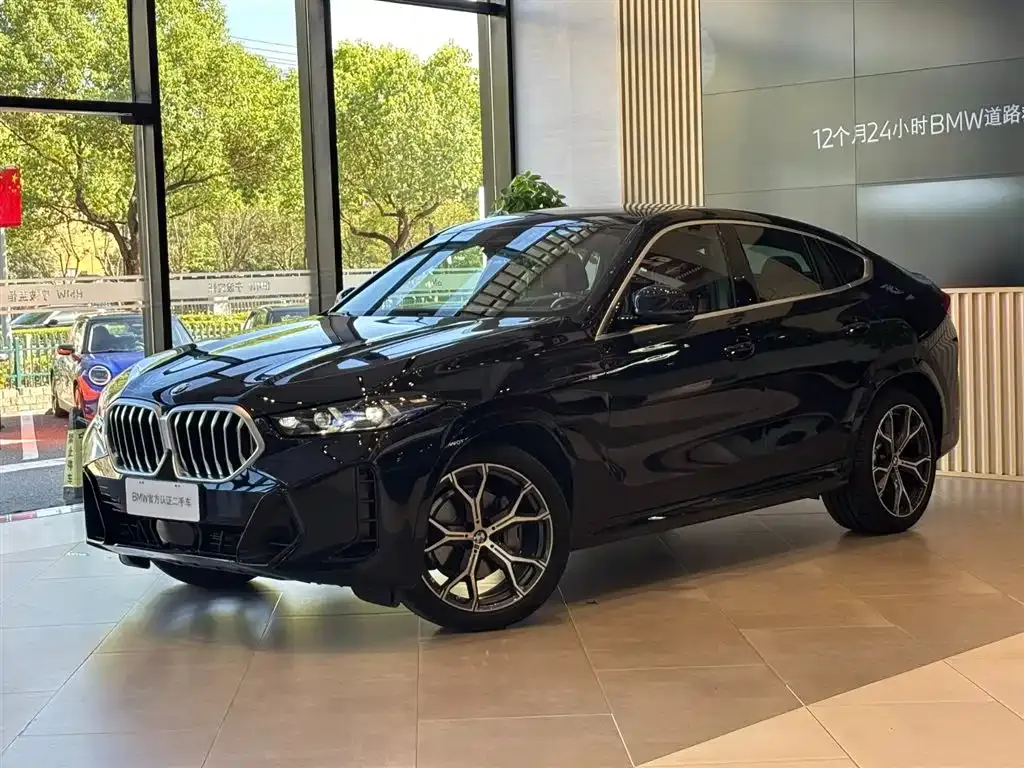 BMW X6 — фото 2