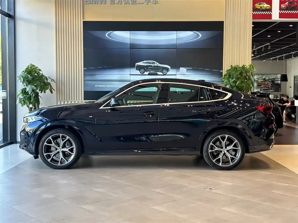 BMW X6 — фото 9