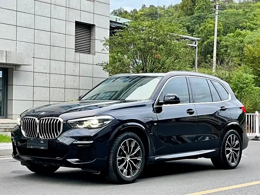 BMW X5 (Import) — фото 1