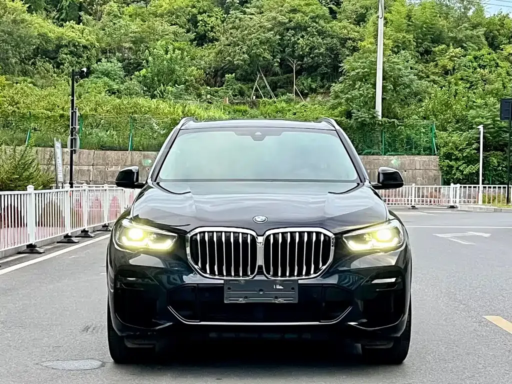 BMW X5 (Import) — фото 2