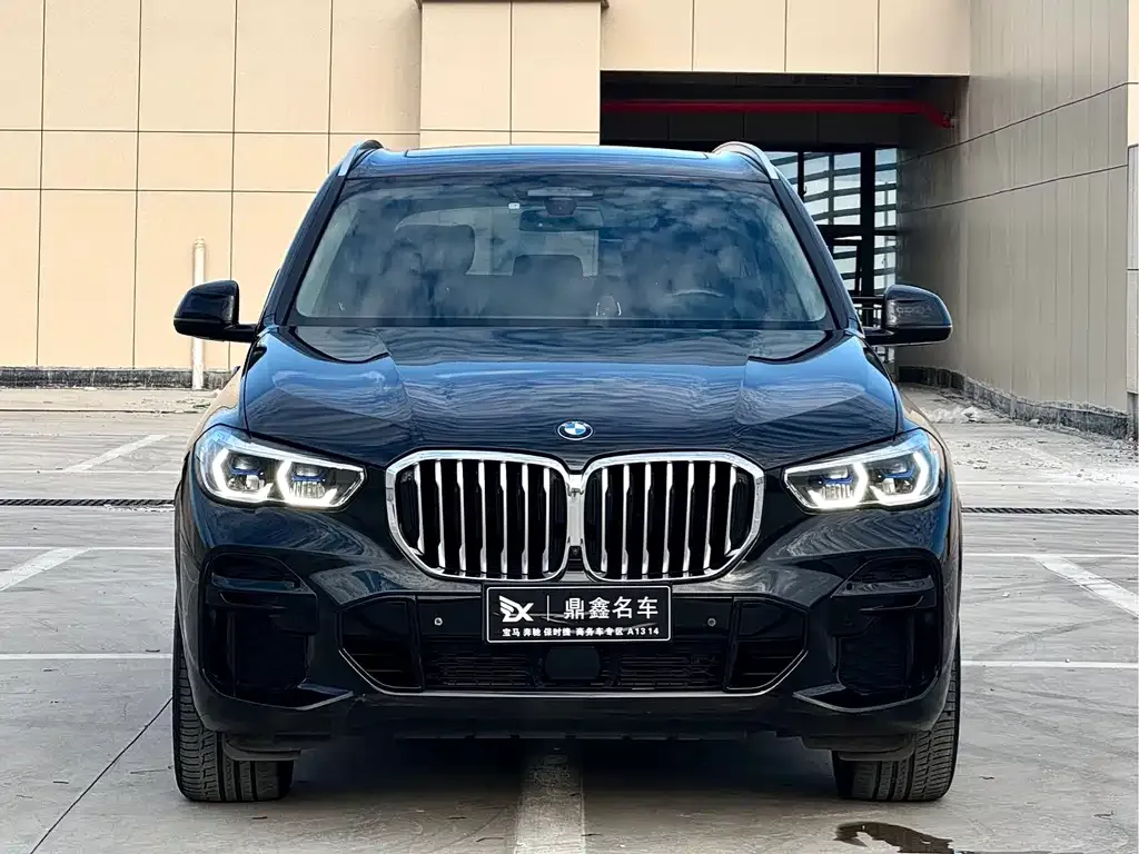 BMW X5 (Import) — фото 2