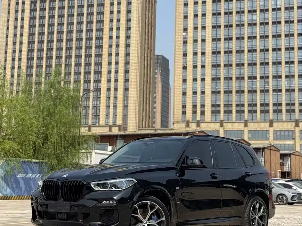 BMW X5 (Import) — фото 2