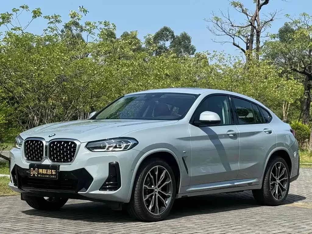 BMW X4 — фото 1