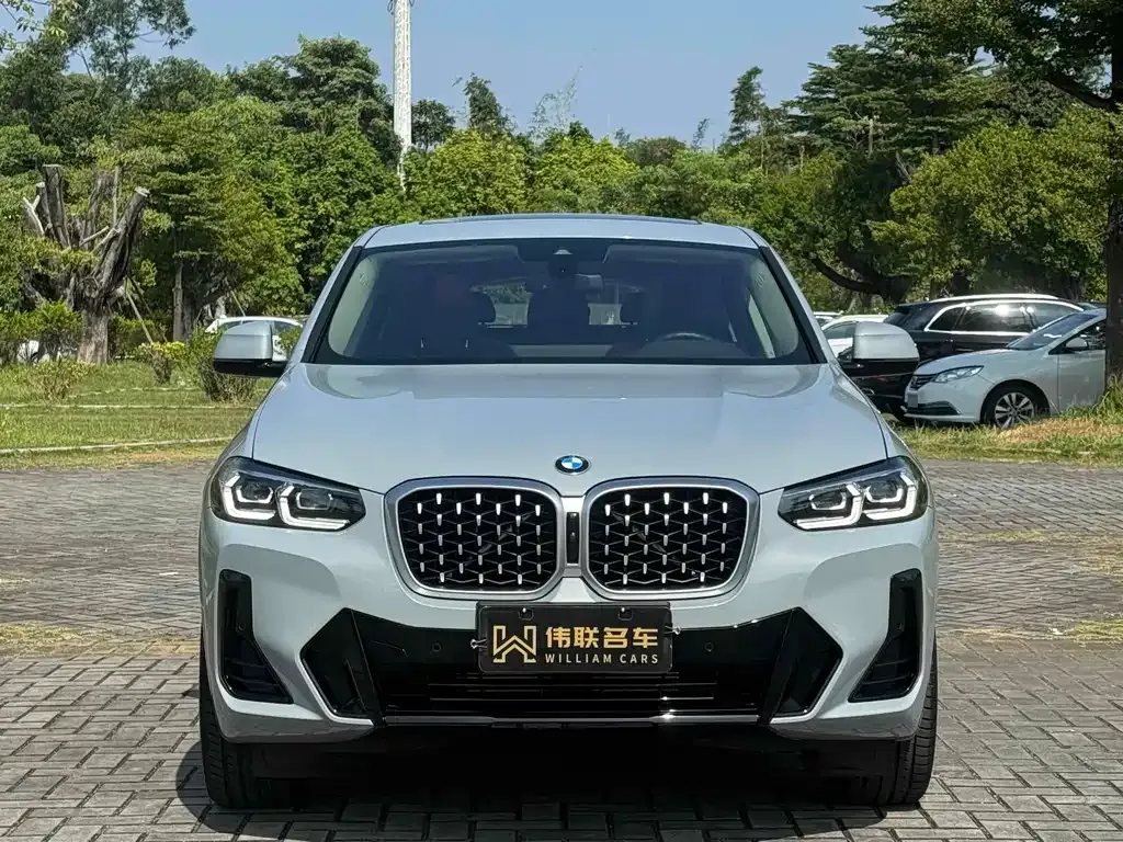 BMW X4 — фото 2