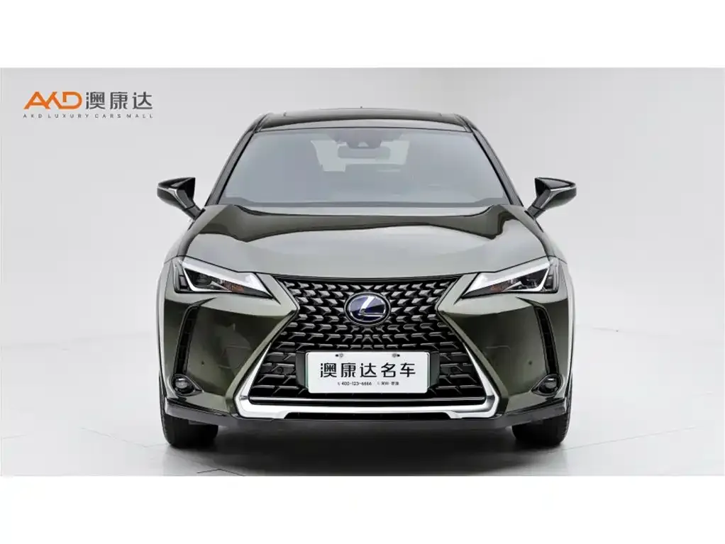 Lexus UX New Energy — фото 2