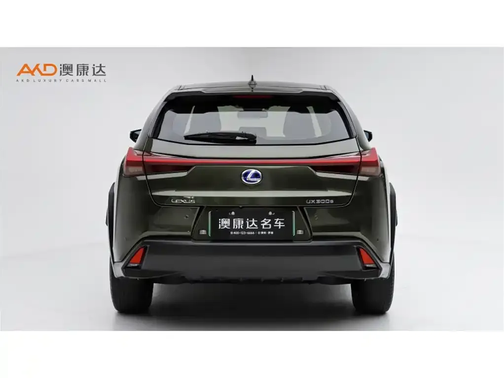 Lexus UX New Energy — фото 4