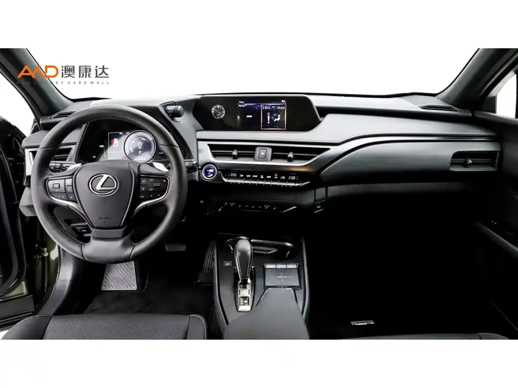 Lexus UX New Energy — фото 5