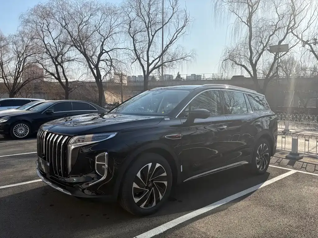 Hongqi HS7 PHEV — фото 1