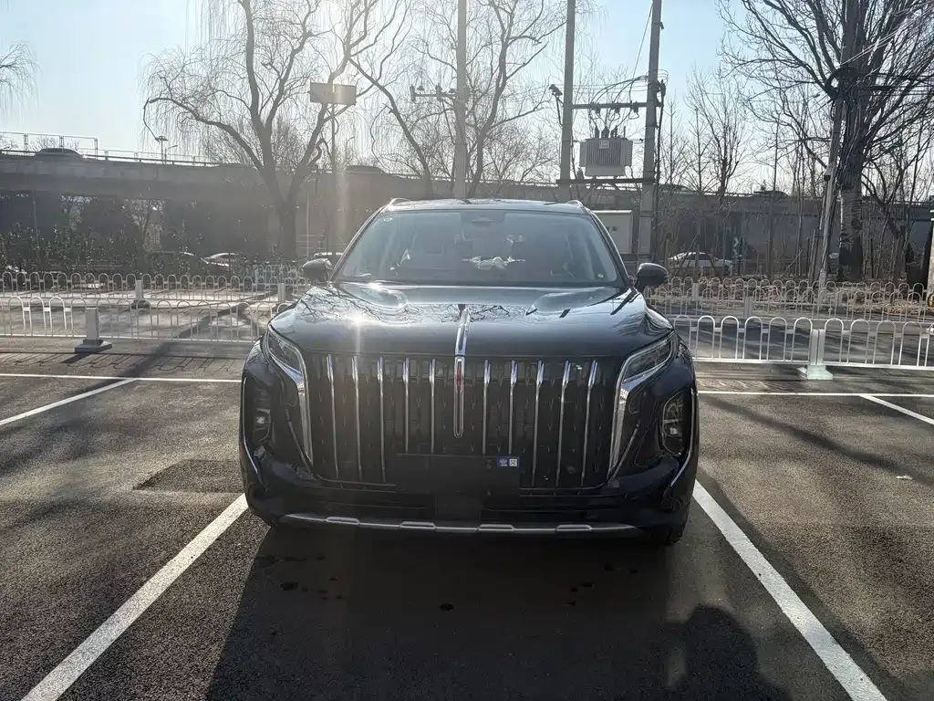 Hongqi HS7 PHEV — фото 2