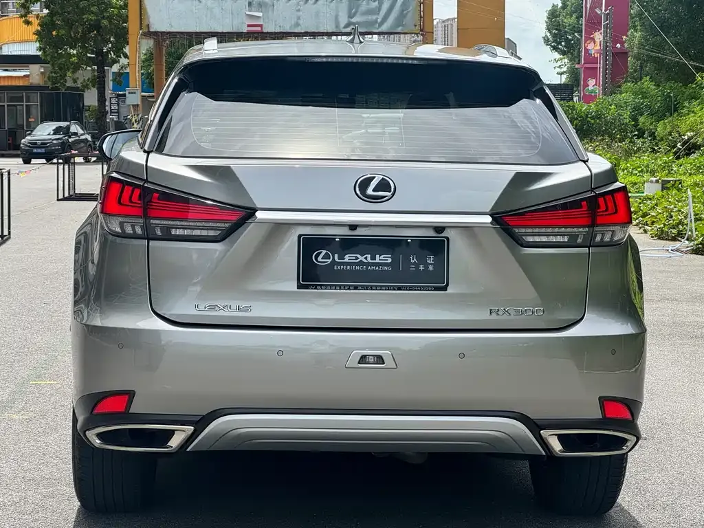Lexus RX — фото 8