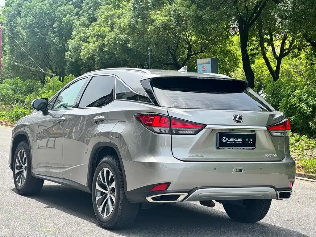 Lexus RX — фото 9
